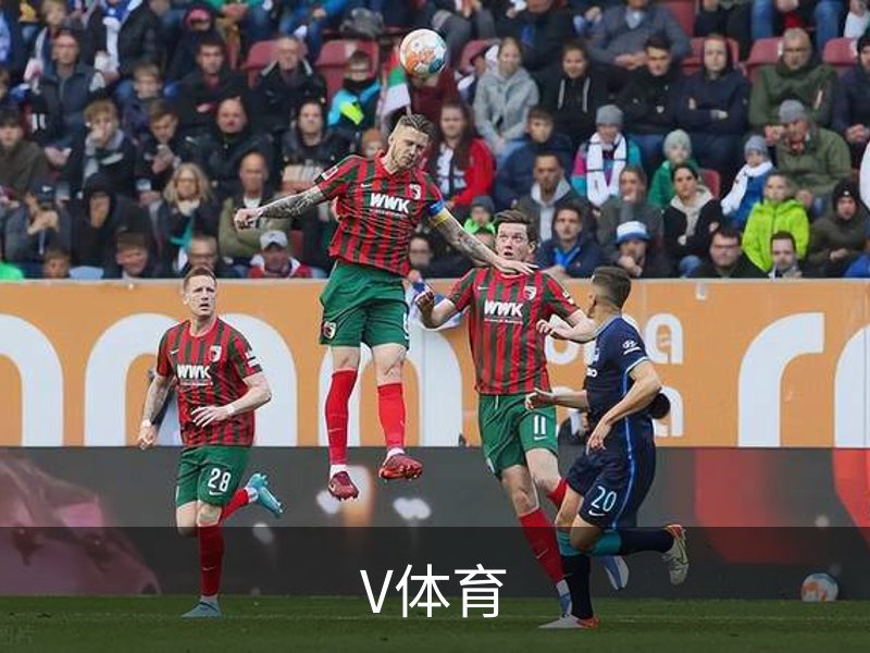 V体育介绍
